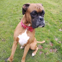 Eric: rehomed 2025
