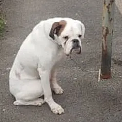 Max abandoned in Hull