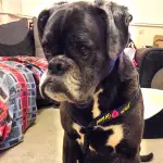 Molly looking pensive