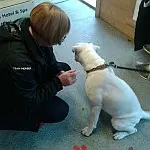 Introducing Lucy to her new family